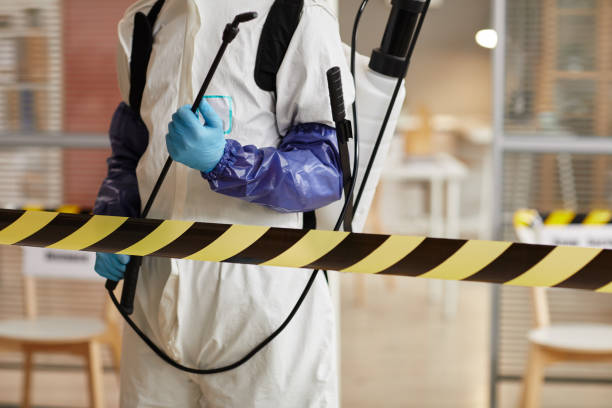 Professional Sewage Cleanup technician working in Rock Rapids, IA
